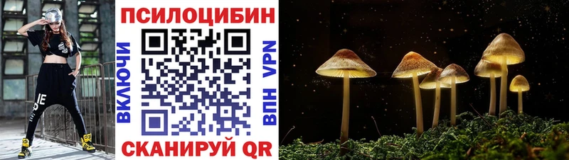 Псилоцибиновые грибы Cubensis  MEGA ссылка  Бахчисарай 