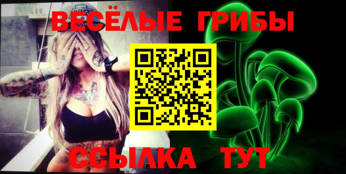 Псилоцибиновые грибы GOLDEN TEACHER Бахчисарай